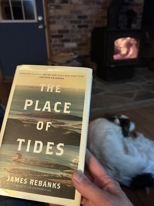 We’re in the Belly of the Beast❄️