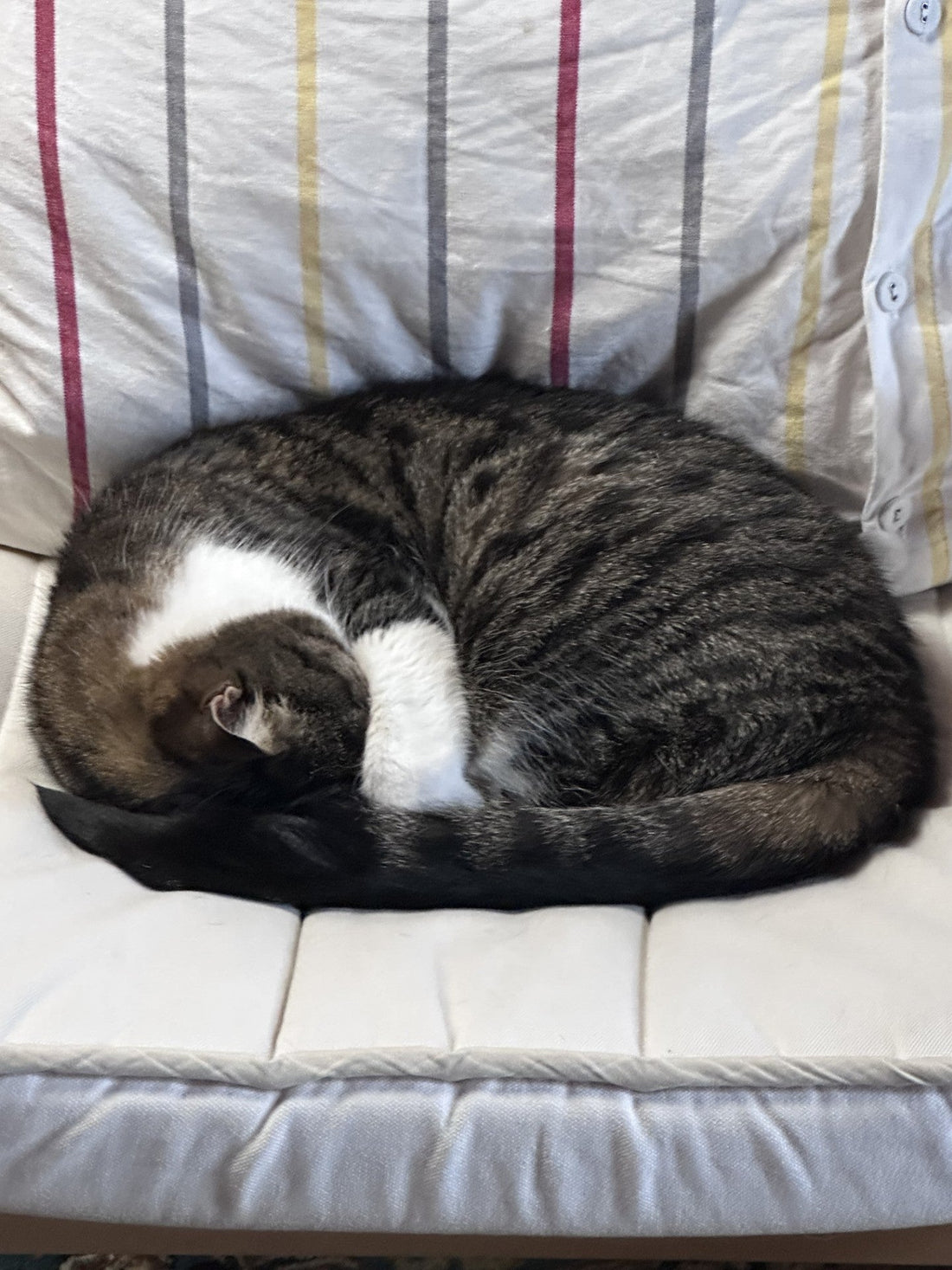 “Feeling Groovy” is NOT Simon & Garfunkel vibe