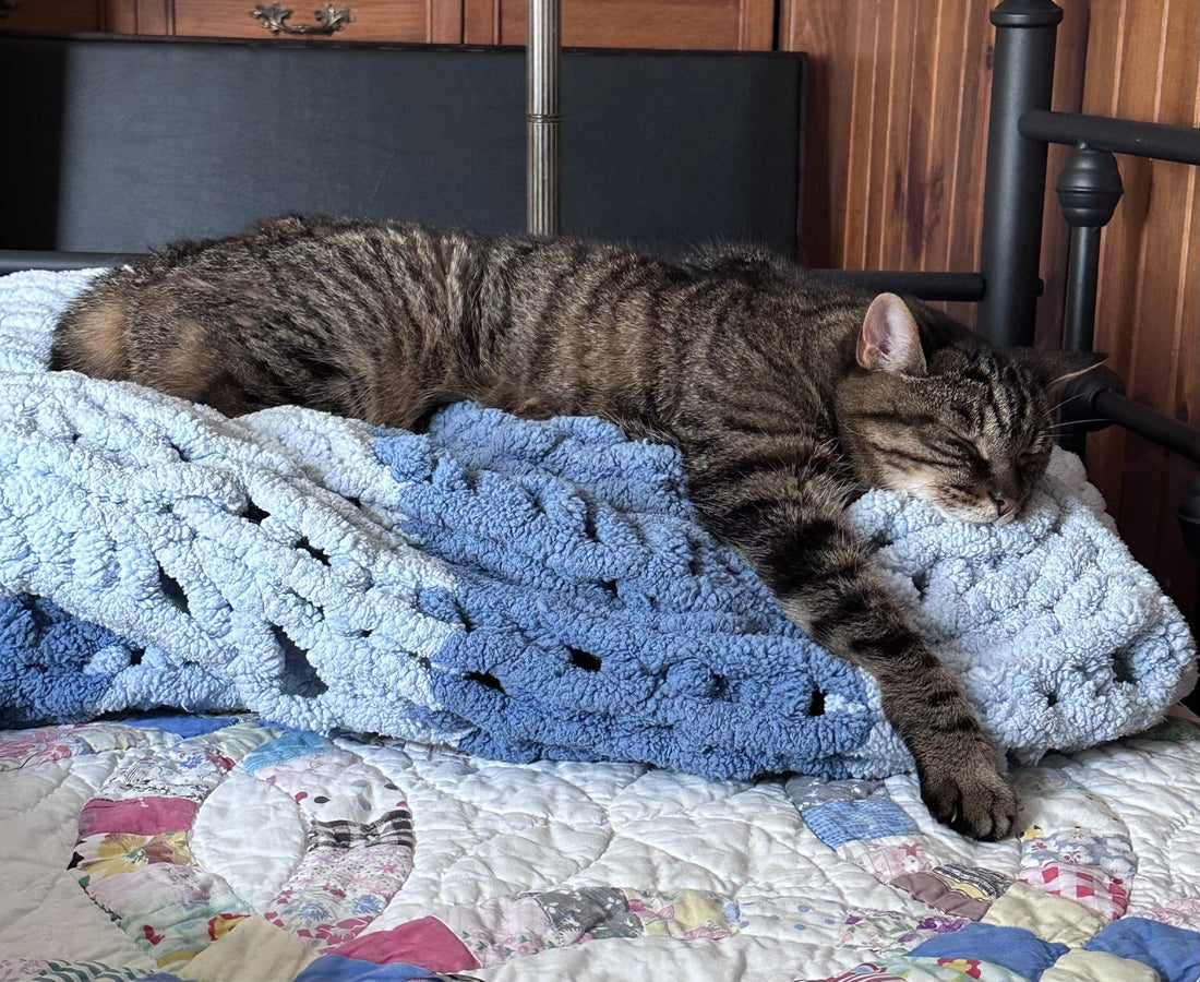 Are you hitting your stride, or taking a step back?